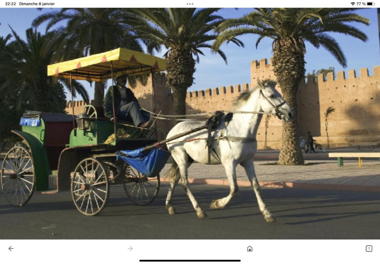 Dar El Hana タルーダント エクステリア 写真