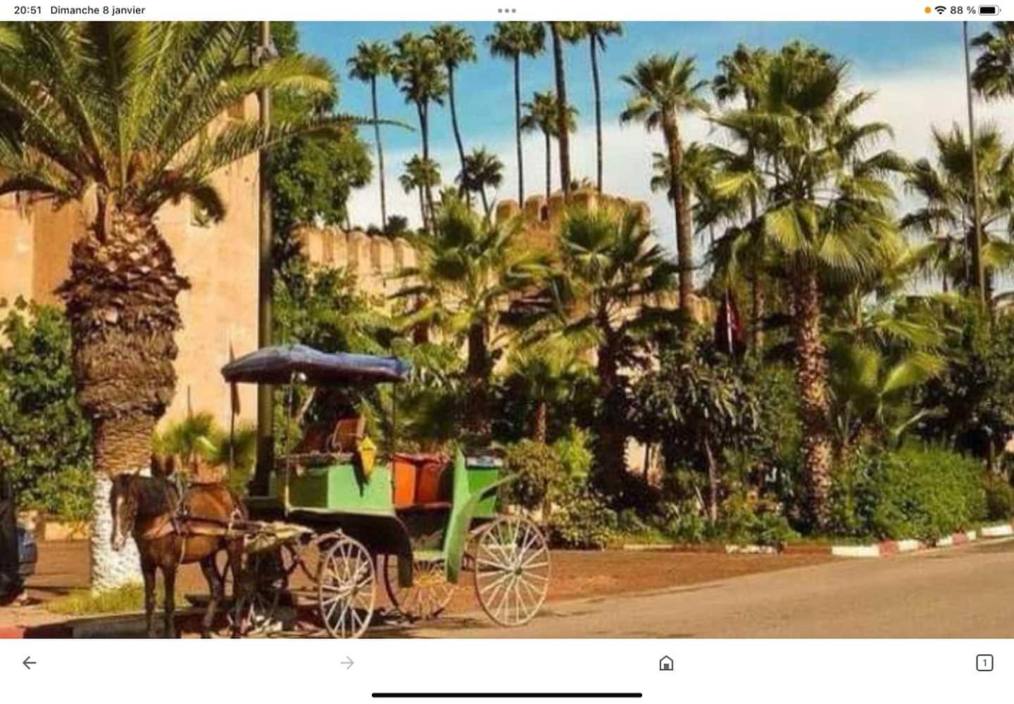 Dar El Hana タルーダント エクステリア 写真